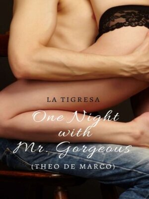 cover image of One Night with Mr. Gorgeous